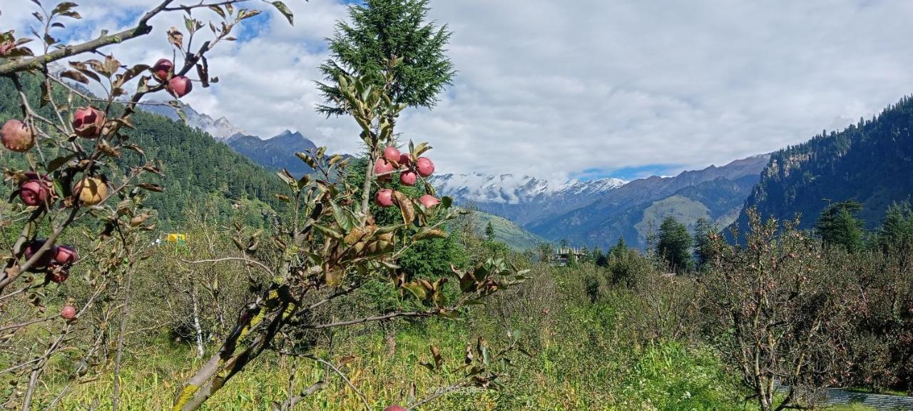 Apple Flower With Balcony And Mountain View Manāli Kültér fotó