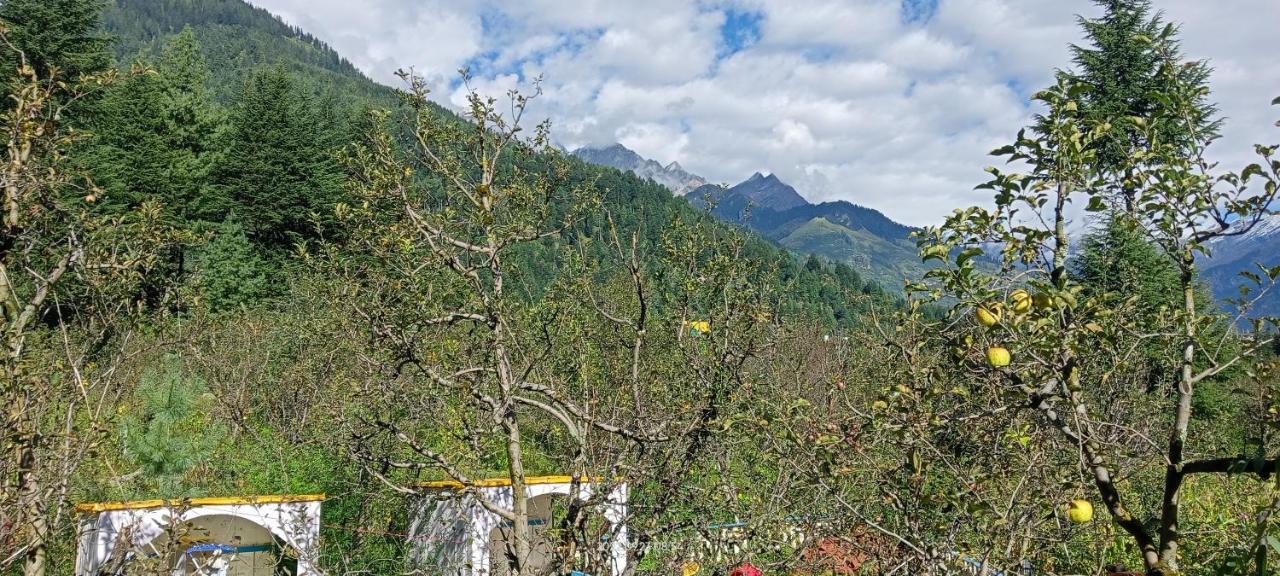 Apple Flower With Balcony And Mountain View Manāli Kültér fotó
